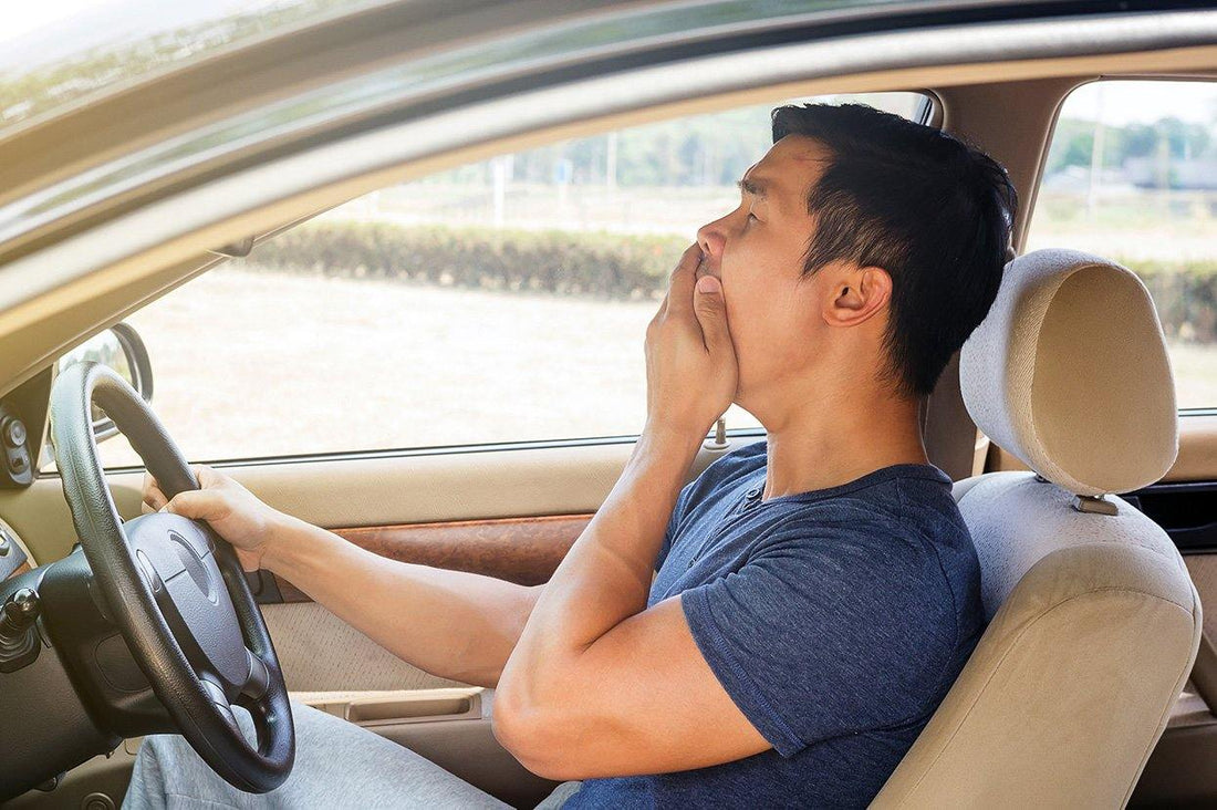 driver falls asleep when driving due to sleep apnea 睡眠窒息症引致駕駛時打蓋睡和鼻鼾