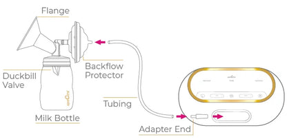 SPECTRA Dual Compact 電動雙摩打雙邊奶泵 內置充電池 Spectra Dual Compact double breast pump connection diagram
